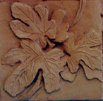a detail with leaves