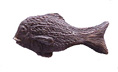 bronze fish