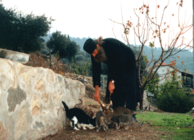 Panteleimon bending down to his cats