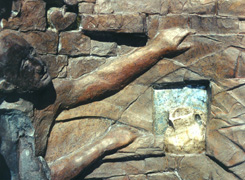 a detail from the WALL sculpture